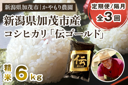 【令和7年産】【定期便3回隔月お届け】新潟産コシヒカリ「伝ゴールド」白米真空パック 精米 6kg（1.5kg×4）