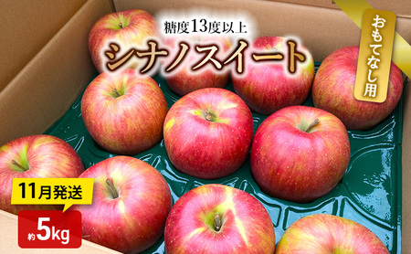 りんご【11月発送】糖度13度以上 シナノスイート おもてなし品  約5kg【青森りんご】