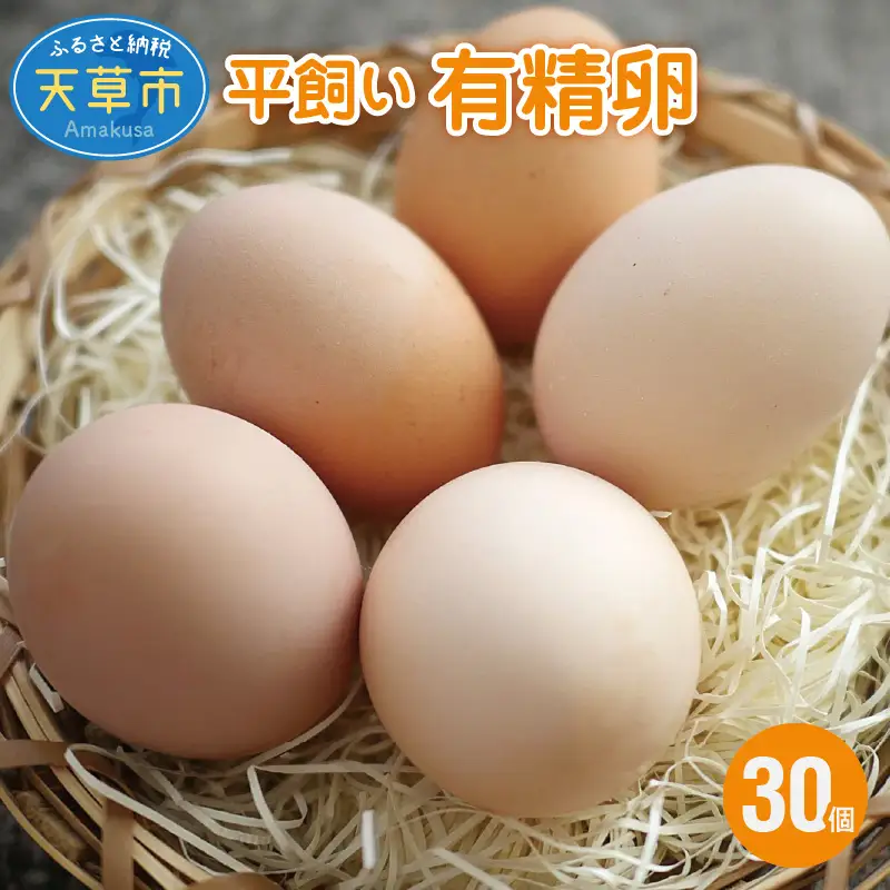 S061-004_平飼い 有精卵 30個 卵 たまご / 卵 たまご 卵かけご飯 鶏卵 玉子