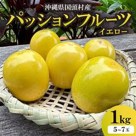 【2026年5月から順次発送】国頭村産パッションフルーツ イエロー1kg(5～7玉)【1662107】