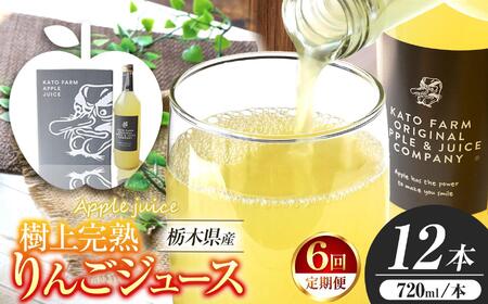 【定期便6回】栃木県矢板市産 樹上完熟100％りんごジュース 720ml×12本入  | 林檎 リンゴ 果汁100% 産地直送 (毎月お届け）  