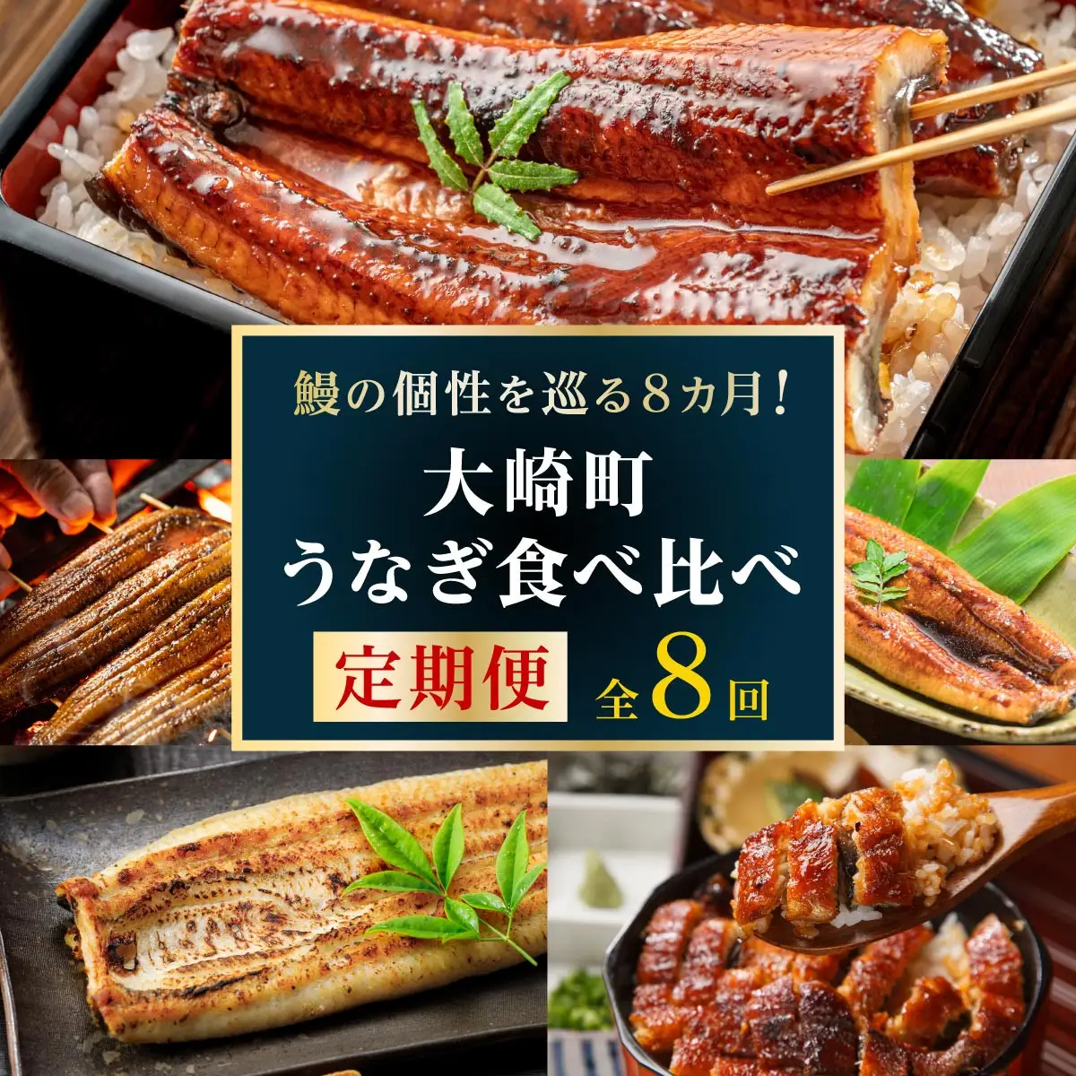 大崎町 うなぎ 食べ比べ定期便 全8回 | うなぎ