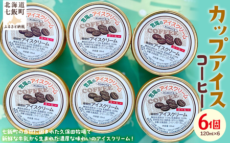 カップアイス　コーヒー 120ml×6個 NAP010