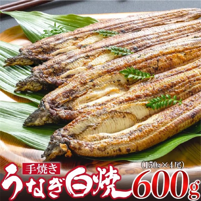 九州産手焼きうなぎ白焼き 4尾（約600g） [M829-1]