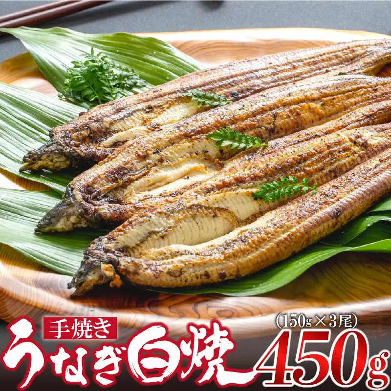九州産手焼きうなぎ白焼き 3尾（約450g） [M828-1]