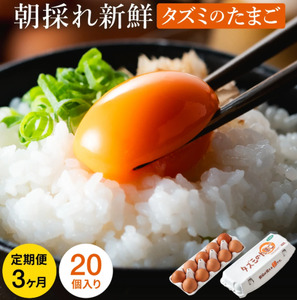 【累計600万個突破！】★TVで紹介されました★【定期便】タズミの卵Ｍサイズ（20個×3か月）015AB02N.／こだわり卵 市川町産 兵庫県産 たまご たまごかけご飯 玉子 生卵 鶏卵 タマゴ 卵焼き TKG 3か月 定期便