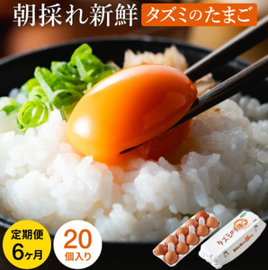 【累計600万個突破！】★TVで紹介されました★【定期便】タズミの卵Ｍサイズ（20個×6か月）030AB02N.／こだわり卵 市川町産 兵庫県産 たまご たまごかけご飯 玉子 生卵 鶏卵 タマゴ 卵焼き TKG 6か月 定期便
