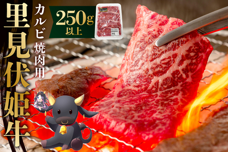 里見伏姫牛　カルビ焼肉用250g以上 mi0119-0001