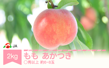 【先行予約】もも 桃 あかつき 約2kg ◯秀以上 (約6?8玉) 令和8年産 2026年産 山形県村山市産 果物 フルーツ ja-moatx2 ※沖縄・離島への配送不可