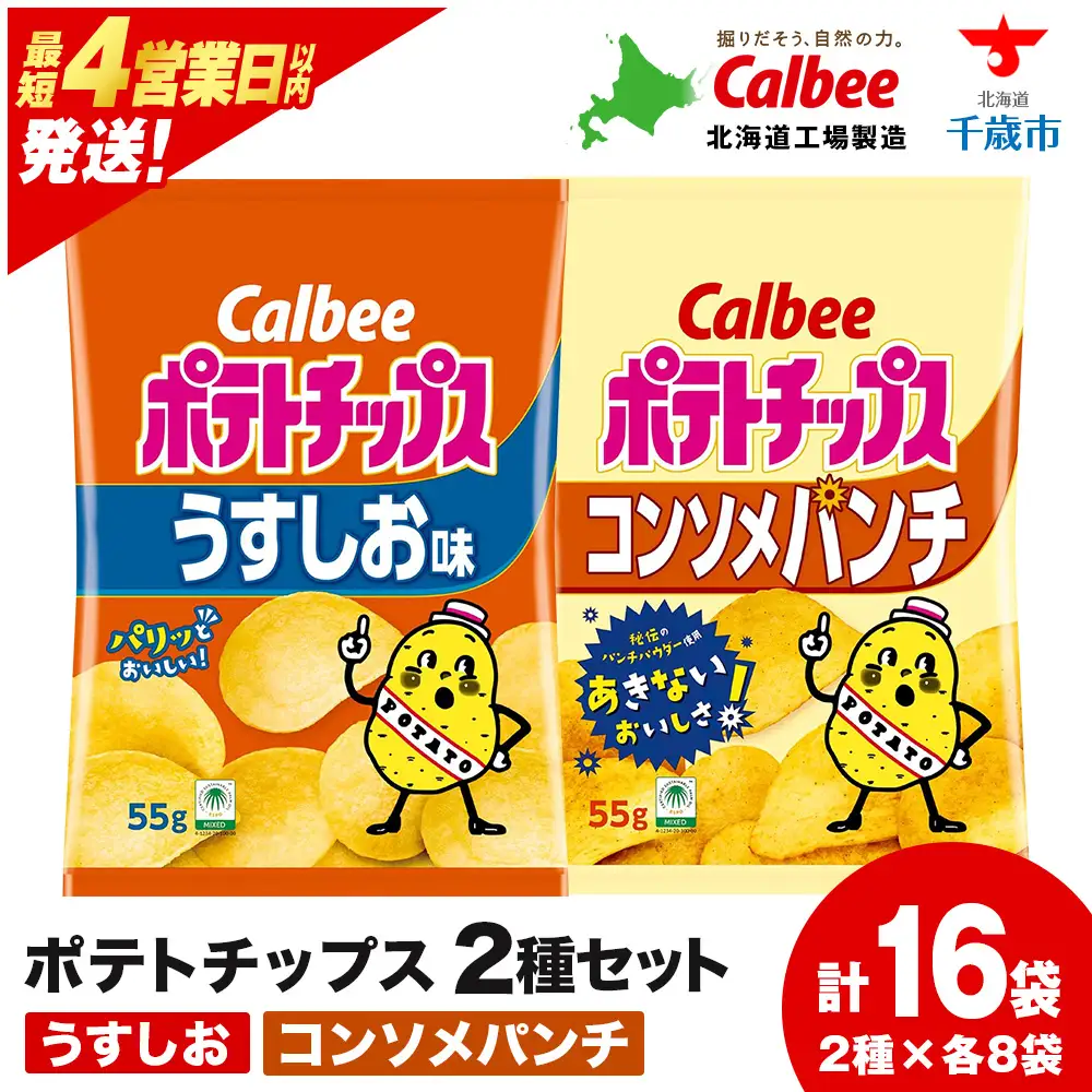 カルビーポテトチップス 2種セット うすしお・コンソメパンチ 各8袋 《千歳工場製造》