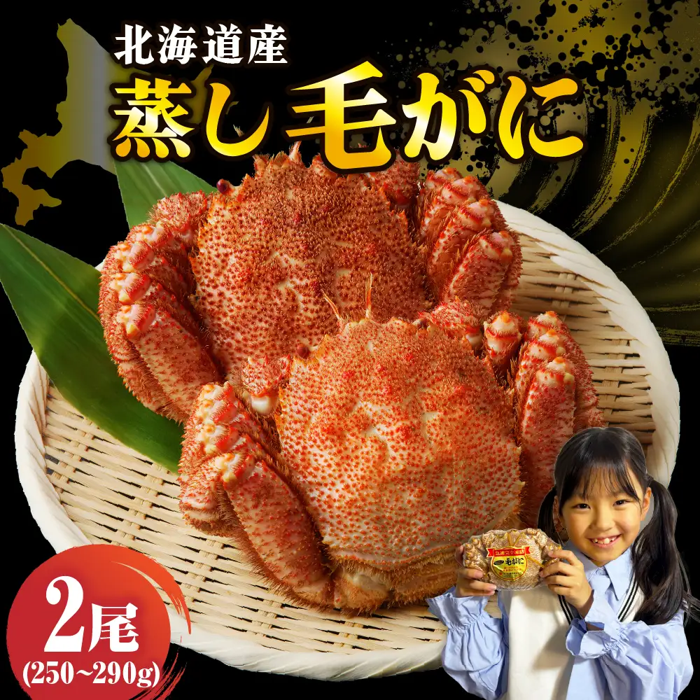 北海道産活蒸し毛蟹約約250g～約290g×2尾
