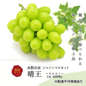 ぶどう 2026年 先行予約 シャインマスカット 晴王 1房 約800g 化粧箱入り 岡山県 赤磐市産 果物 フルーツ 葡萄 ブドウ