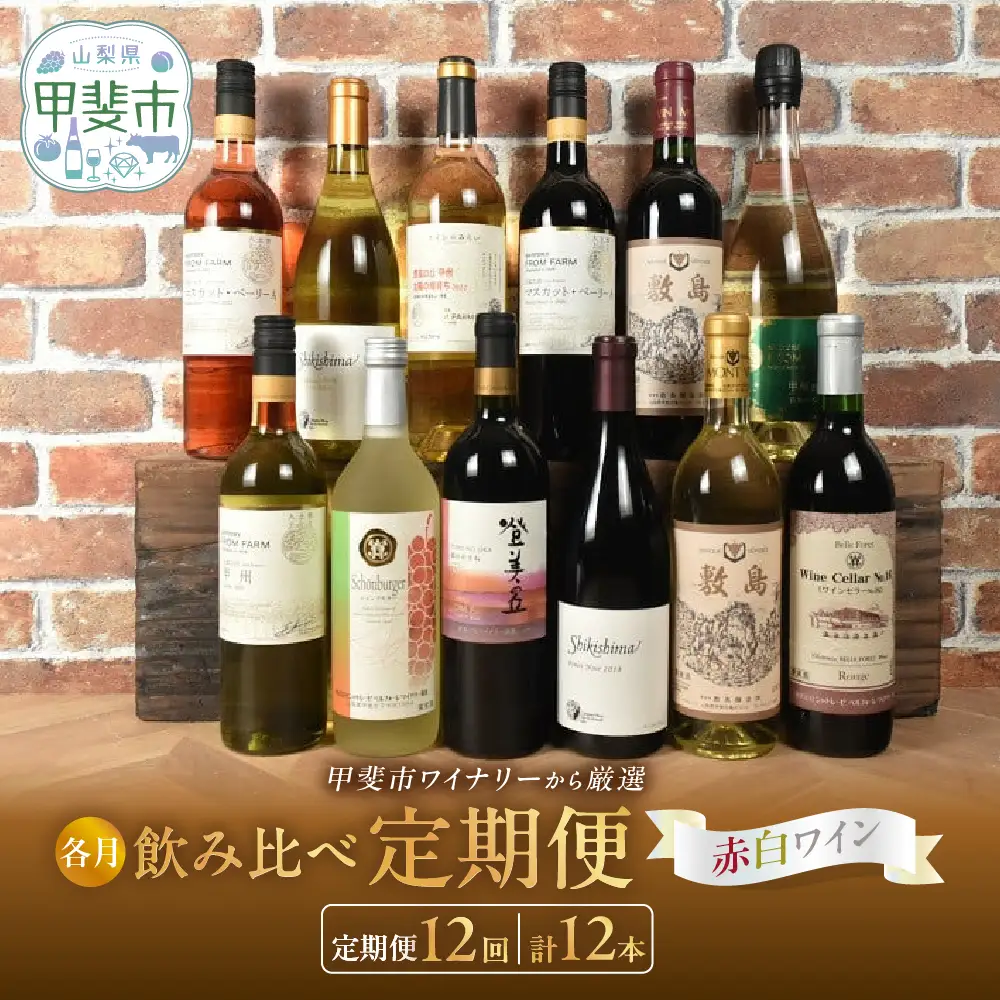 甲斐市産 赤白ワイン 12本 定期便 ワイン 山梨ワイン 山梨県 甲斐市 AD-315