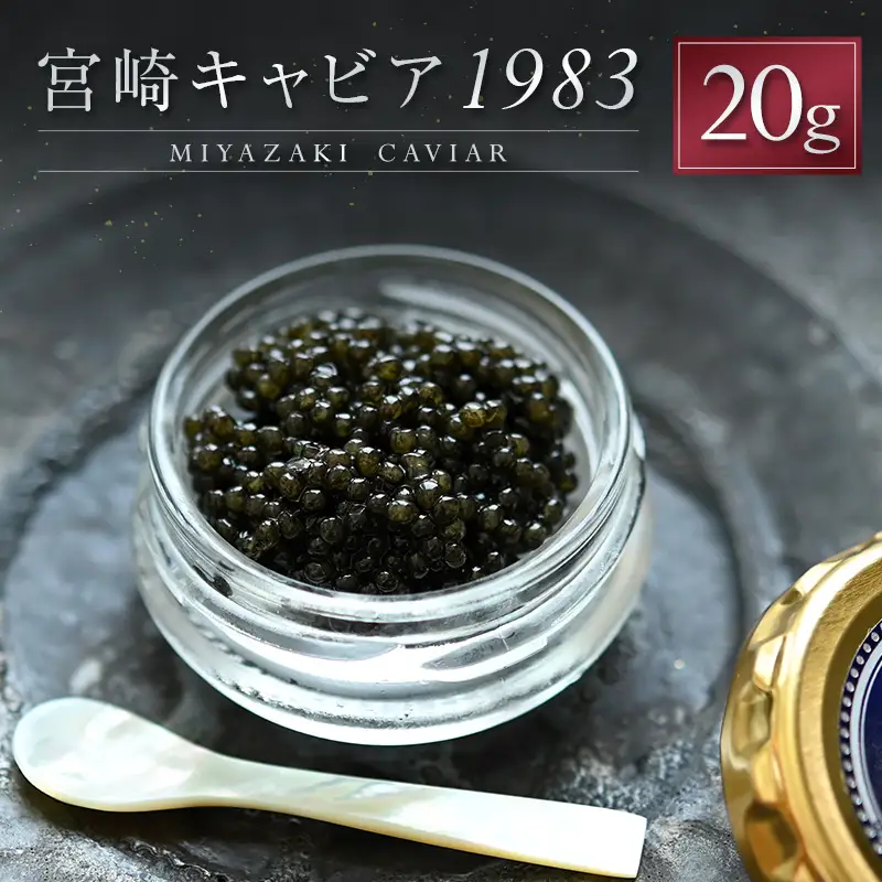 宮崎キャビア1983 計20g 贈答品 高級 魚卵 国産【E247】