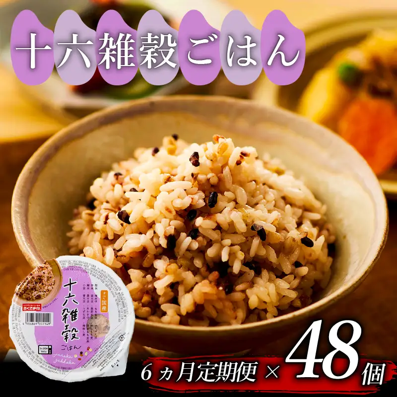 【国産100%】定期便6回 十六雑穀米 パックご飯 160g×48個 レンジで簡単 幸南食糧
