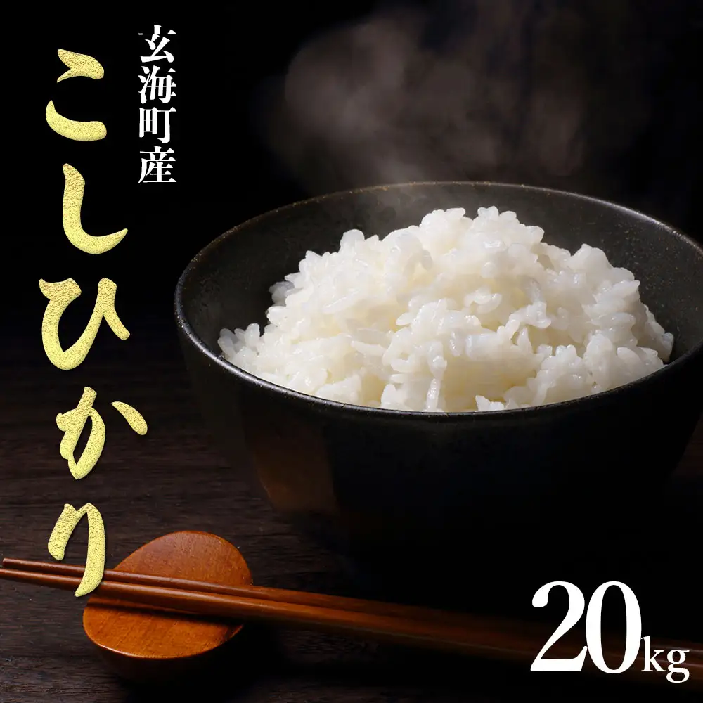 佐賀県玄海町産こしひかり 20kg ／ 精米 ご飯 コシヒカリ【B211】