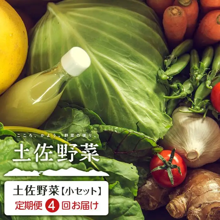 旬の土佐野菜セット 旬の詰め合わせ小セット 4回定期便 野菜