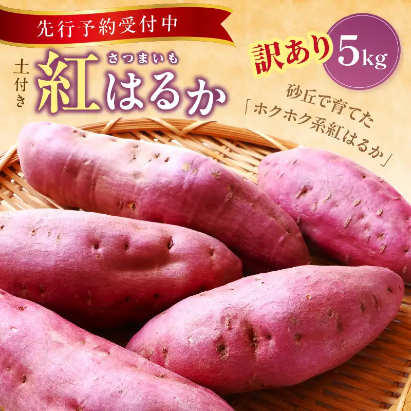【2026年11月上旬から順次発送】訳ありさつまいも 紅はるか5kg サツマイモ