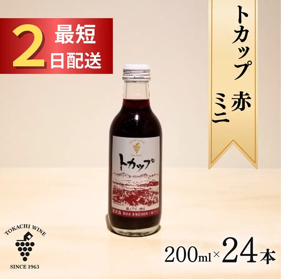 十勝ワイン ミニボトル24本（赤）200ml×24本 赤ワイン 飲み切り お申込みから最短2日発送 年内発送