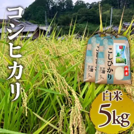コシヒカリ　白米5kg  つげゆたかコシヒカリ (tge001)