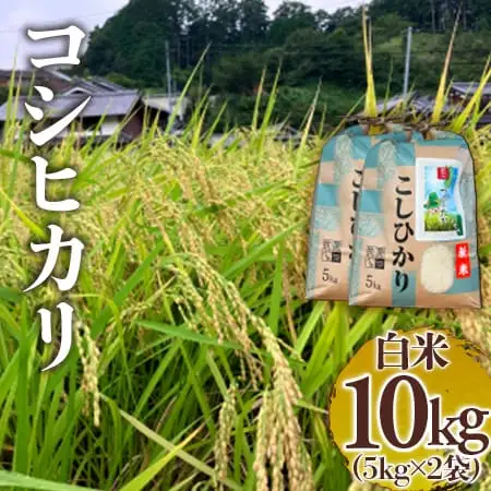 令和7年度 つげゆたか 【コシヒカリ】白米 10㎏ (tge002)
