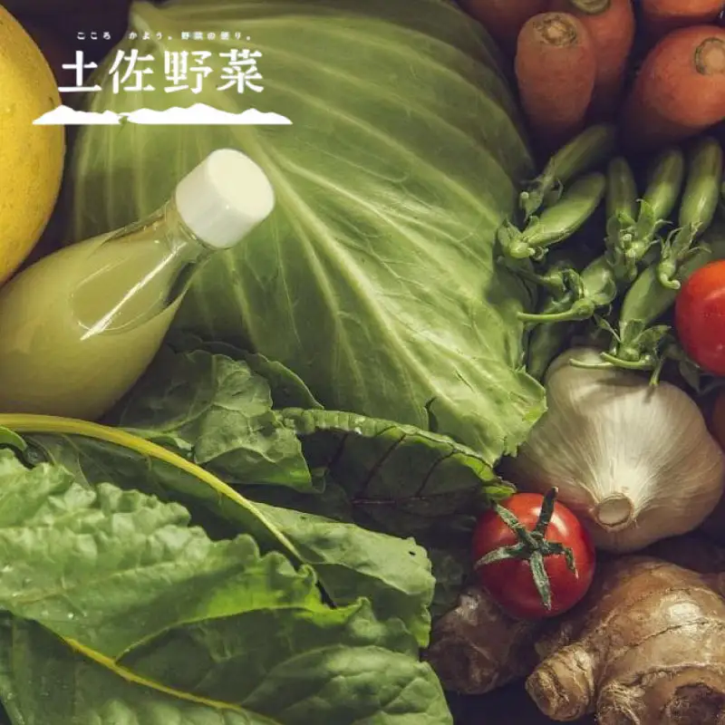 旬の土佐野菜セット 無農薬生姜100g付き 12回定期便 野菜