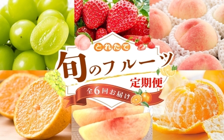 【フルーツ定期便・全6回】品質に自信あり！くしがきの里から直送　厳選した果物を最高のタイミングでお届け♪ / 定期便 桃 もも みかん 柑橘 シャインマスカット マスカット いちご 不知火 はれひめ イチゴ 苺 果物 フルーツ 6回【BK-kgr039】