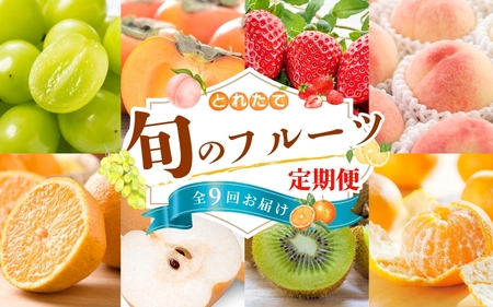 【フルーツ定期便・全9回】品質に自信あり！くしがきの里から直送　人気の果物を贅沢に楽しめる♪  / 定期便 桃 もも みかん 柑橘 シャインマスカット ぶどう 柿 キウイ マスカット いちご 不知火 はれひめ イチゴ 苺 果物 フルーツ 9回【BK-kgr040】