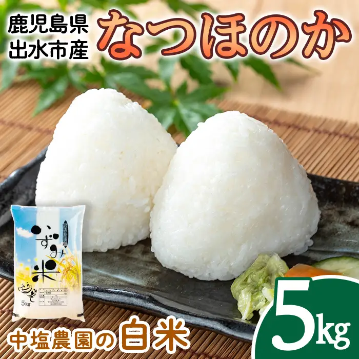 i1179-A 令和7年産 鹿児島県 出水市産 なつほのか (5kg) 米 5kg なつほのか 鹿児島 5キロ お米 九州 九州産 甘み 大粒 【いずみキッチン】