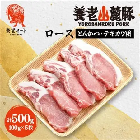 養老山麓豚 ロース とんかつ・テキカツ用 500g(100g×5枚)【配送不可地域：離島】【1634048】