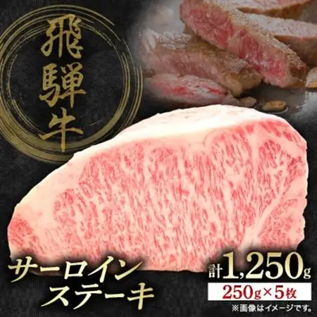 飛騨牛サーロインステーキ　250g×5枚　計1250g【配送不可地域：離島】【1641967】