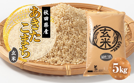 令和7年産 あきたこまち 玄米 5kg【配送不可地域：離島・沖縄県】【1666264】