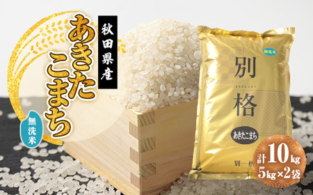 令和7年産 あきたこまち 無洗米 10kg(5kg×2袋)【配送不可地域：離島・沖縄県】【1666267】