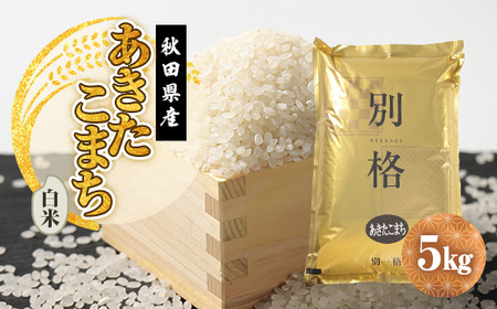 令和7年産 あきたこまち 白米 5kg【配送不可地域：離島・沖縄県】【1666275】