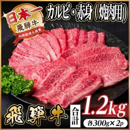 飛騨牛　厳選カルビ・赤身(焼肉・BBQ用)　計1.2kg(各600g)　黒毛和牛　小分け【配送不可地域：離島】【1667421】