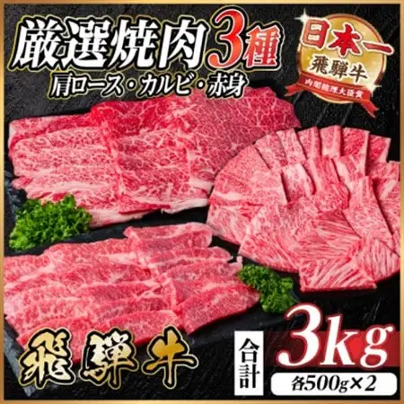 飛騨牛　厳選焼肉3種(肩ロース・カルビ・赤身)　計3kg(各1kg) 黒毛和牛　小分け【配送不可地域：離島】【1669125】