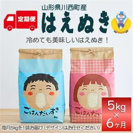 【毎月定期便】山形県産　はえぬき　精米　5kg全6回【4074791】