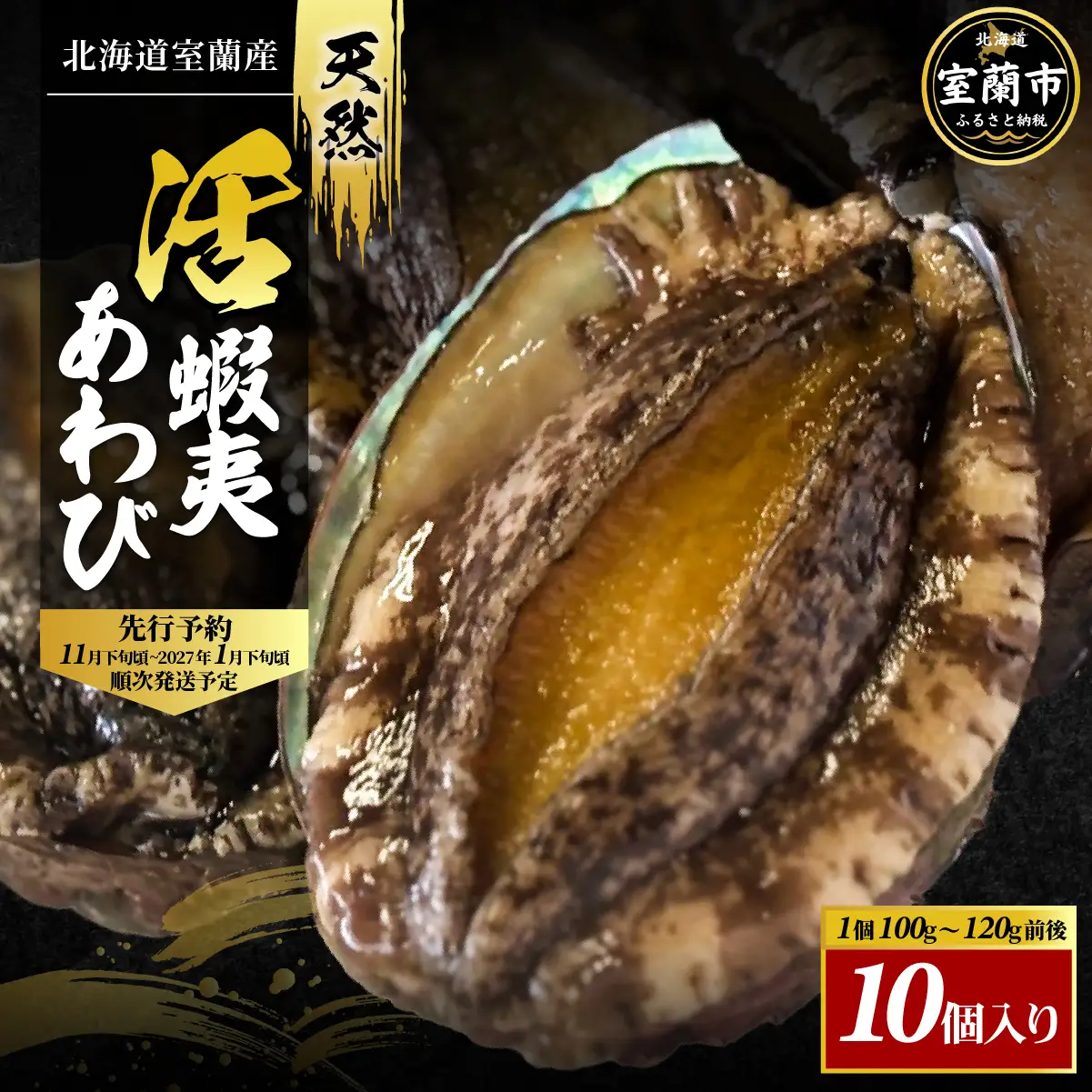 北海道室蘭産 天然活蝦夷あわび 10個入（1個100g～120g前後）2026年11月下旬頃～2027年1月下旬頃順次発送 MROH007