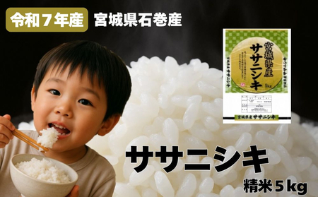 米 令和7年産 ササニシキ 精米 5kg お米 ごはん ご飯 飯 5キロ 単一銘柄米 主食 こめ コメ 家庭用 美味しい ブランド米 あっさり 食感 ささにしき おにぎり おかゆ 送料無料 宮城県 石巻 石巻市