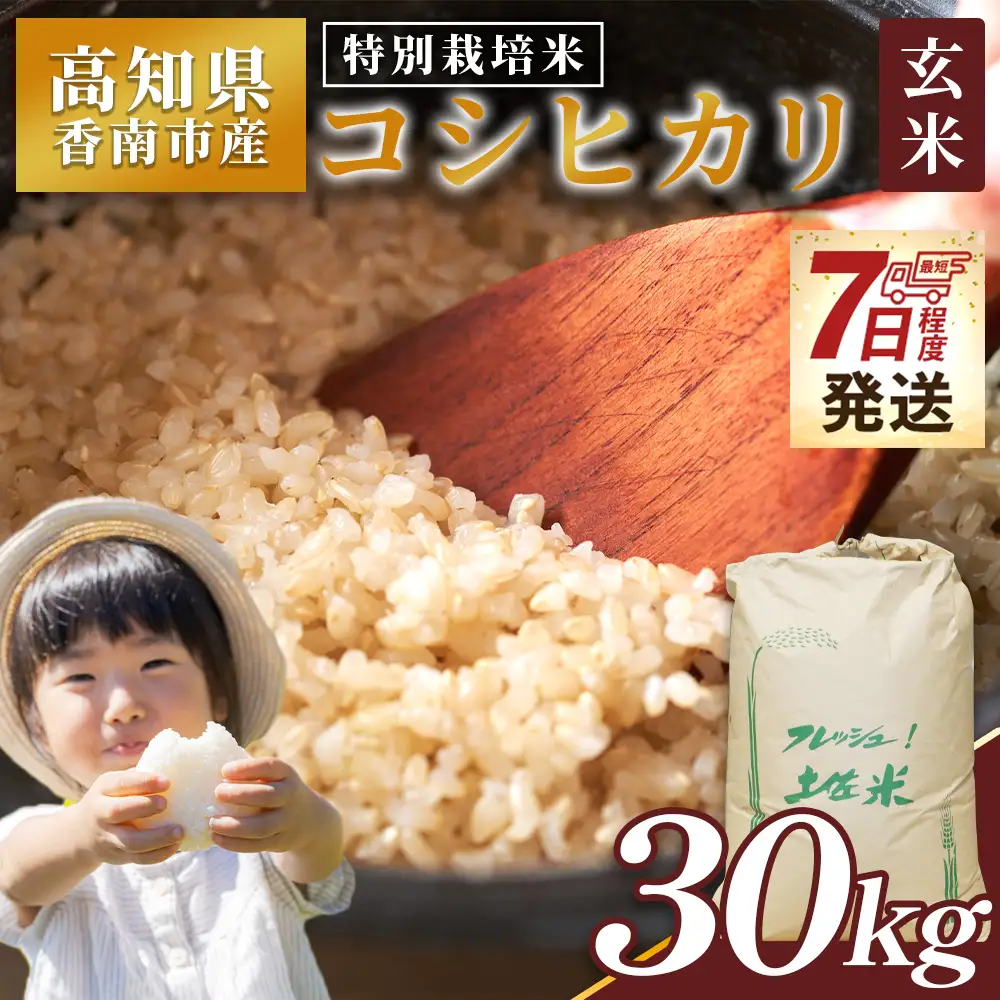 【 玄米 】特別栽培米 コシヒカリ 玄米 30kg 令和7年産 nu-0010