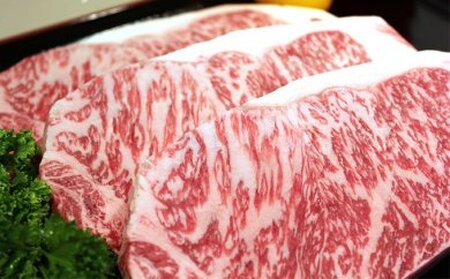 特上田子牛サーロインステーキ300g×3枚