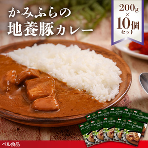 かみふらの地養豚カレー１０個セット 200g en01-00212