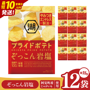 【10営業日以内に出荷】湖池屋 プライドポテト ぞっこん岩塩 55g×12個|お菓子 おかし おやつ スナック スナック菓子 菓子 ポテチ 大容量 おつまみ じゃがいも（93-148）