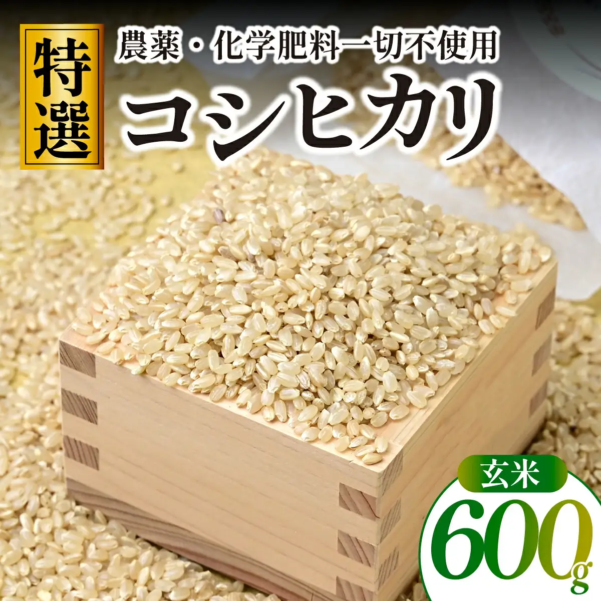 【特別栽培米】コシヒカリ　茨城県産　玄米　600g　ギフトにおすすめ【1670037】