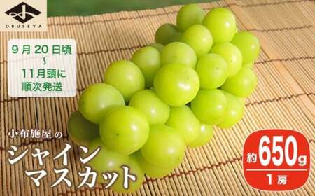 シャインマスカット 約650g 1房 ［小布施屋］ 2026年発送 令和8年産 【2026年9月20日頃～11月頭にかけて順次発送】［A-303］