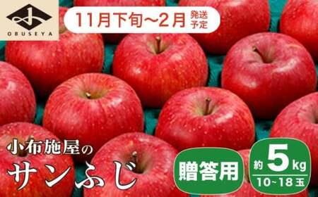 先行受付 サンふじ 贈答用 約5kg 10～18玉 ［小布施屋］令和8年産【2026年11月下旬～2027年2月発送】［A-209］