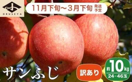 【訳あり】サンふじ 約10kg 24～46玉 ［小布施屋］ りんご 林檎 リンゴ 不揃い 規格外 果物 フルーツ 生産者応援 支援 家庭用 令和8年産 【2026年11月下旬～2027年3月下旬発送】 ［B-6］
