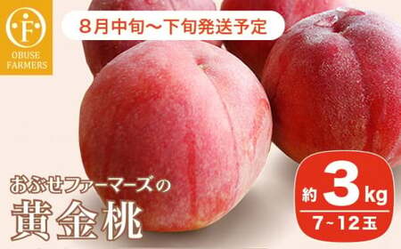 黄金桃 約3kg 7～12玉 ［おぶせファーマーズ］桃 もも モモ フルーツ 果物 クール便 冷蔵便 長野県産 信州産  令和8年産【2026年8月中旬～下旬発送】［F-18］