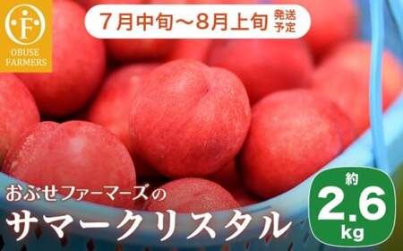 サマークリスタル 約2.6kg ［おぶせファーマーズ］先行予約 ネクタリン 果物 フルーツ 冷蔵便 クール便 長野県産 信州産  令和8年産【2026年7月中旬～8月上旬発送】［F-20］