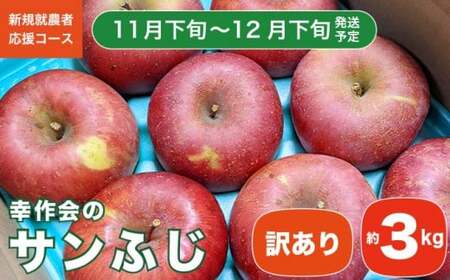 【訳あり】 サンふじ 約3kg ［新規就農者応援コース 幸作会］フルーツ 果物 りんご 林檎 長野県産 信州産  令和8年産【2026年11月下旬～12月下旬発送】  ［KH-50］